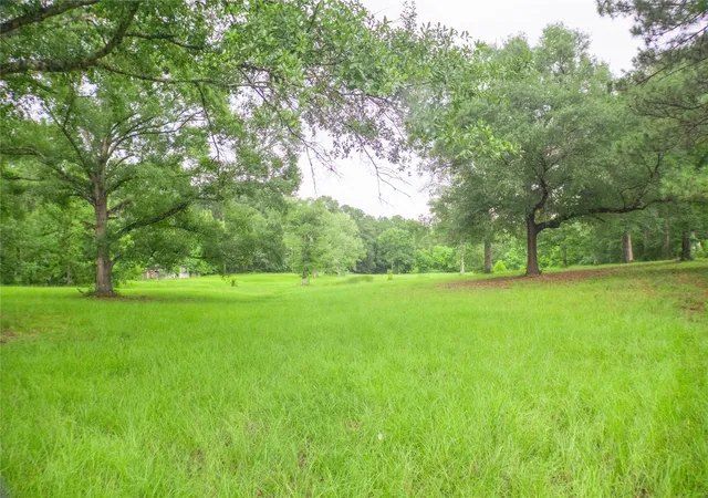 Photo 1 of Land for sale at 155 Dobbin, Livingston, TX 77351 | MLS# 80438074 | Listing updated on 2026-08-05