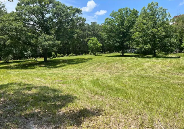 Photo 3 of Land for sale at 155 Dobbin, Livingston, TX 77351 | MLS# 80438074 | Listing updated on 2026-08-05