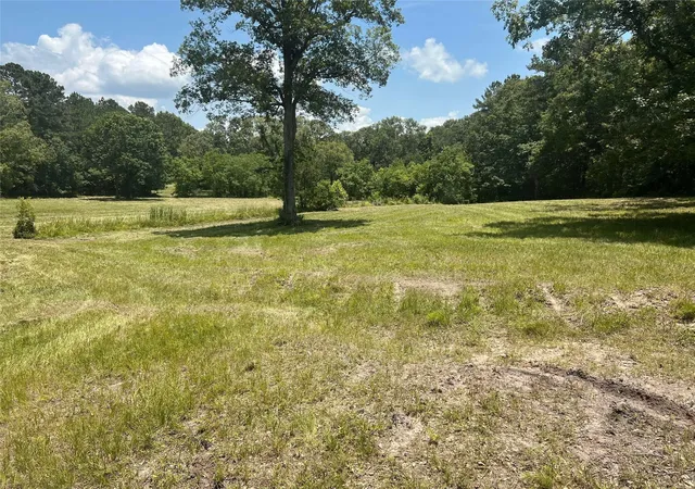Photo 3 of Land for sale at 155 Dobbin, Livingston, TX 77351 | MLS# 80438074 | Listing updated on 2026-08-05
