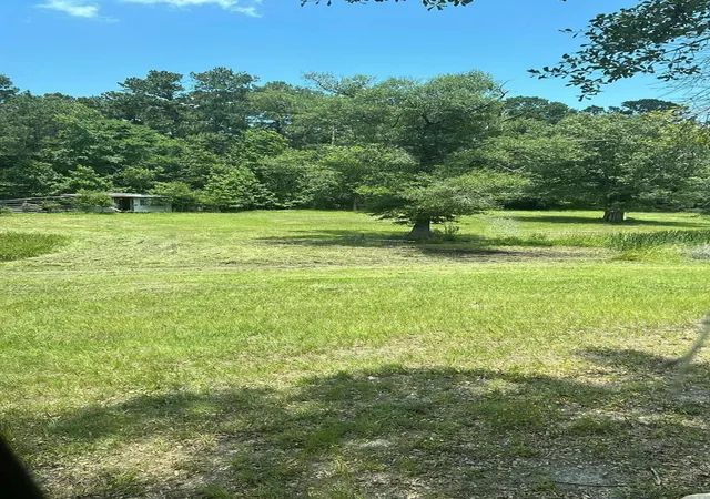 Photo 4 of Land for sale at 155 Dobbin, Livingston, TX 77351 | MLS# 80438074 | Listing updated on 2026-08-05