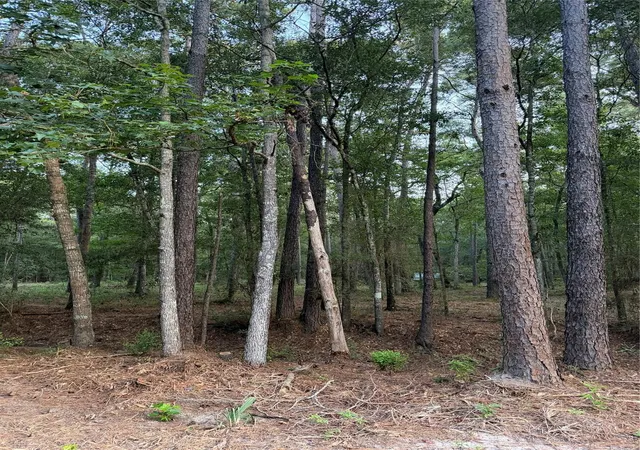 1st image of 43 Sims Oak Rd, Splendora, TX 77372 | MLS# 84343643
