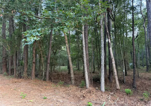 2nd image of 43 Sims Oak Rd, Splendora, TX 77372 | MLS# 84343643