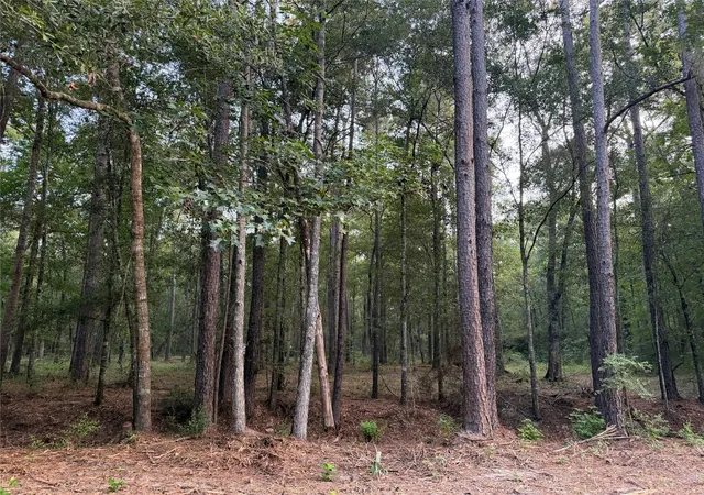 3rd image of 43 Sims Oak Rd, Splendora, TX 77372 | MLS# 84343643
