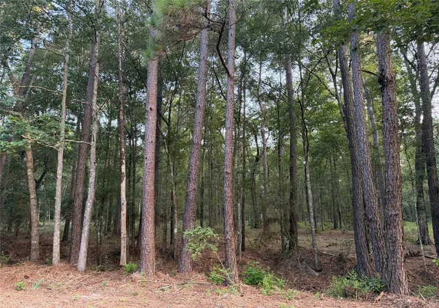 4th image of 43 Sims Oak Rd, Splendora, TX 77372 | MLS# 84343643