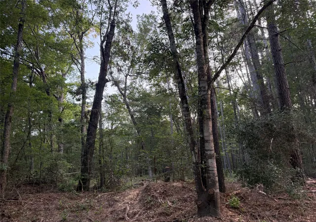 7th image of 43 Sims Oak Rd, Splendora, TX 77372 | MLS# 84343643