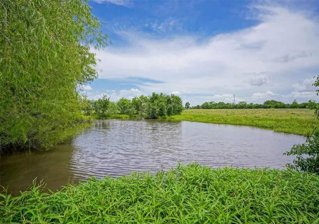 Homes for sale in Richards, TX | 8295 County Rd 179, Richards, TX 77873 | MLS# 25520323