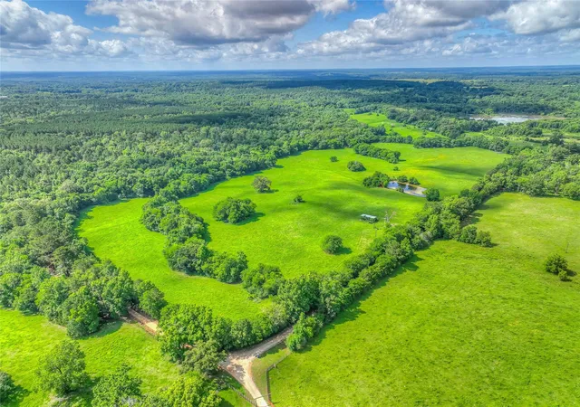 Photo 1 of Land for sale at 000 County Rd 1750, Grapeland, TX 75844 | MLS# 75428937 | Listing updated on 2026-08-11