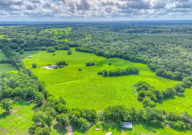 Photo 2 of Land for sale at 000 County Rd 1750, Grapeland, TX 75844 | MLS# 75428937 | Listing updated on 2026-08-11