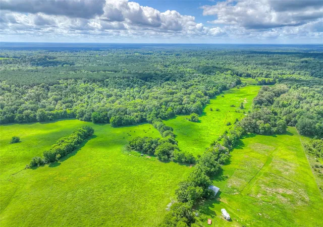 Photo 3 of Land for sale at 000 County Rd 1750, Grapeland, TX 75844 | MLS# 75428937 | Listing updated on 2026-08-11