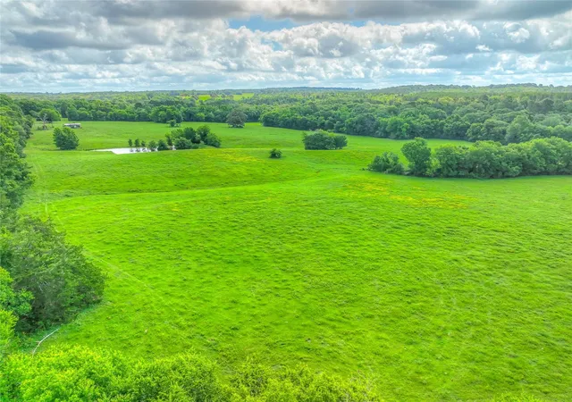 Photo 3 of Land for sale at 000 County Rd 1750, Grapeland, TX 75844 | MLS# 75428937 | Listing updated on 2026-08-11