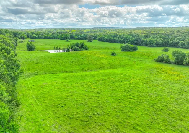 Photo 4 of Land for sale at 000 County Rd 1750, Grapeland, TX 75844 | MLS# 75428937 | Listing updated on 2026-08-11
