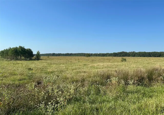 3rd image of Lot 61 Minnie West Dr, Hull, TX 77564 | MLS# 83162093