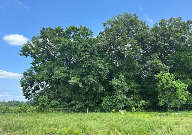 5th image of Lot 61 Minnie West Dr, Hull, TX 77564 | MLS# 83162093