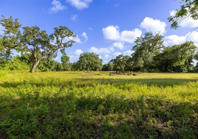 1st image of 15074 Tx Hwy 35 N, Sweeny, TX 77480 | MLS# 20414050