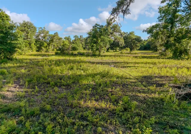 4th image of 15074 Tx Hwy 35 N, Sweeny, TX 77480 | MLS# 20414050