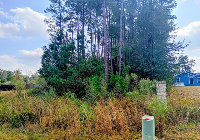 Photo 3 of Land for sale at 1308 County Rd 3545, Cleveland, TX 77327 | MLS# 34600617 | Listing updated on 2026-07-01