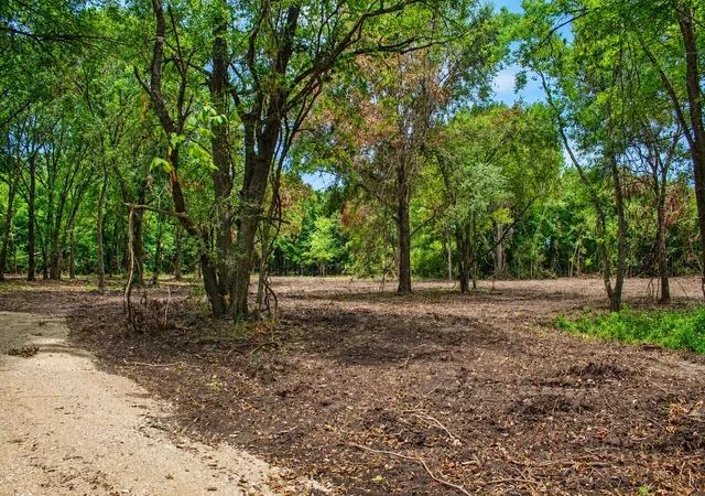 Photo 26 of Land for sale at 13 +/  Acres Greenbriar Rd, Madisonville, TX 77864 | MLS# 46069084 | Listing updated on 2026-08-25