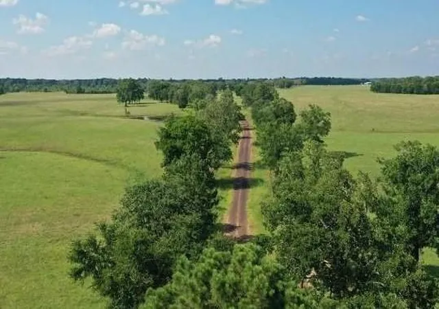 Homes for sale in Centerville, TX | Trs 53 & 54 Cr 231, Centerville, TX 75833 | MLS# 87209538