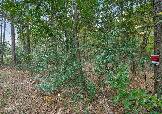 Photo 2 of Land for sale at Lot 410 411 N Woods, Cleveland, TX 77328 | MLS# 23801493 | Listing updated on 2026-05-27