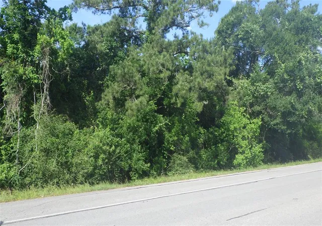 Photo 2 of Land for sale at 630 Fm 2917 Rd, Alvin, TX 77511 | MLS# 13762451 | Listing updated on 2026-03-08