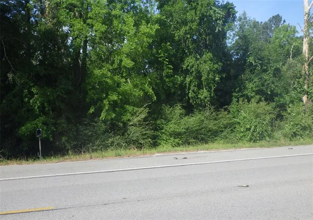 Photo 3 of Land for sale at 630 Fm 2917 Rd, Alvin, TX 77511 | MLS# 13762451 | Listing updated on 2026-03-08