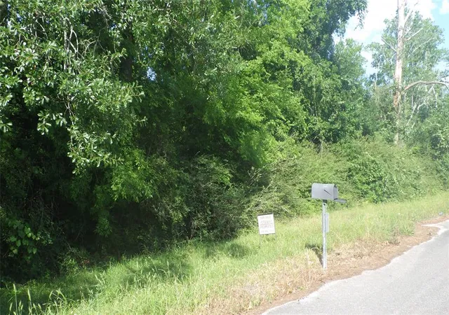 Photo 4 of Land for sale at 630 Fm 2917 Rd, Alvin, TX 77511 | MLS# 13762451 | Listing updated on 2026-03-08