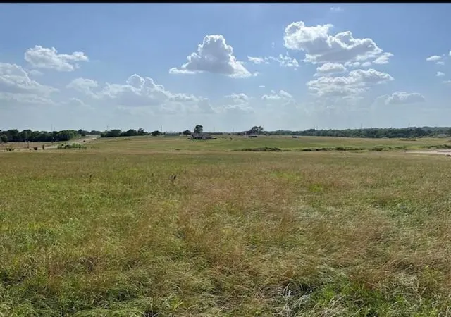 Photo 2 of Land for sale at 0000 Fm 149 W, Anderson, TX 77830 | MLS# 27537308 | Listing updated on 2026-03-01