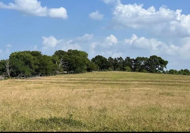 Photo 2 of Land for sale at 0000 Fm 149 W, Anderson, TX 77830 | MLS# 27537308 | Listing updated on 2026-03-01
