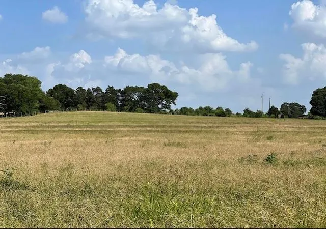 Photo 3 of Land for sale at 0000 Fm 149 W, Anderson, TX 77830 | MLS# 27537308 | Listing updated on 2026-03-01