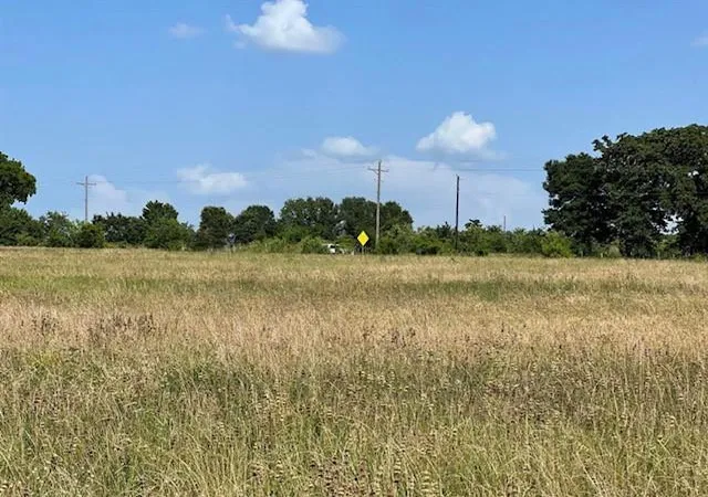 Photo 4 of Land for sale at 0000 Fm 149 W, Anderson, TX 77830 | MLS# 27537308 | Listing updated on 2026-03-01