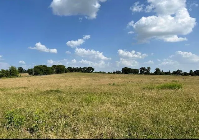 Photo 8 of Land for sale at 0000 Fm 149 W, Anderson, TX 77830 | MLS# 27537308 | Listing updated on 2026-03-01