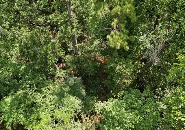 1st image of Tbd Coleman Dr, Splendora, TX 77372 | MLS# 69565942