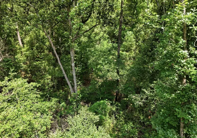 2nd image of Tbd Coleman Dr, Splendora, TX 77372 | MLS# 69565942