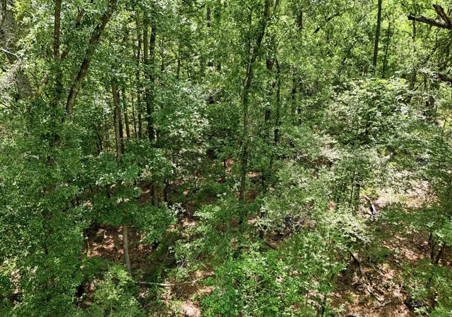 3rd image of Tbd Coleman Dr, Splendora, TX 77372 | MLS# 69565942