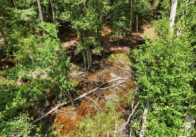 4th image of Tbd Coleman Dr, Splendora, TX 77372 | MLS# 69565942