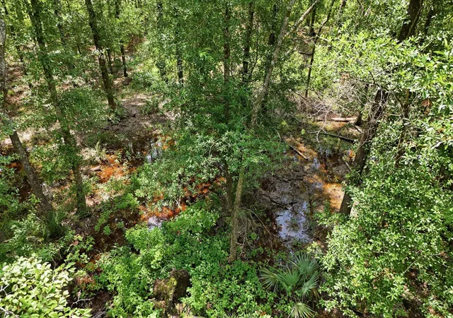 5th image of Tbd Coleman Dr, Splendora, TX 77372 | MLS# 69565942