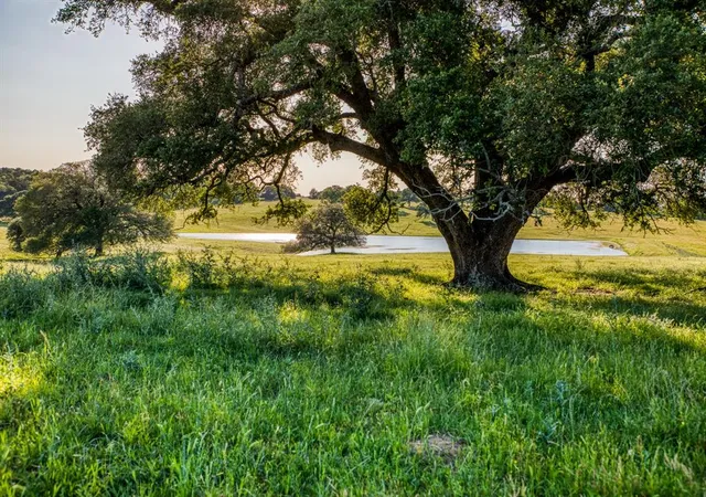 Photo 2 of Land for sale at 7000 W Farm To Market Road 332 Road, Brenham, TX 77833 | MLS# 68400333 | Listing updated on 2026-02-08
