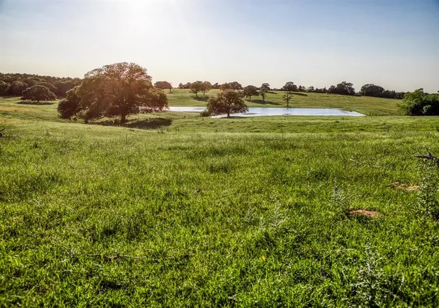 Photo 3 of Land for sale at 7000 W Farm To Market Road 332 Road, Brenham, TX 77833 | MLS# 68400333 | Listing updated on 2026-02-08
