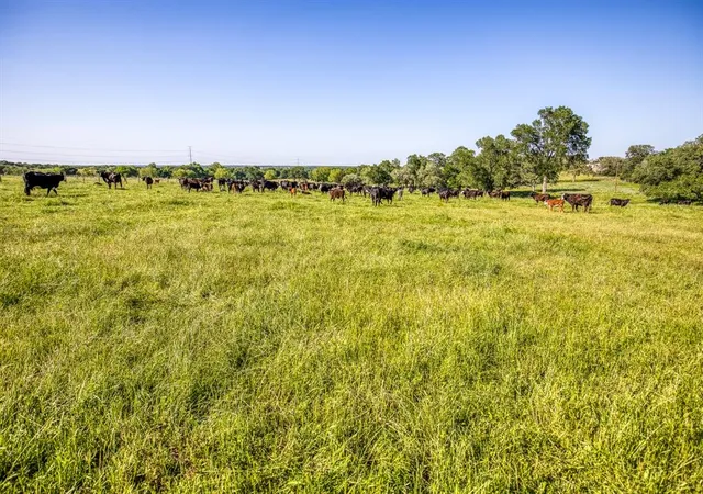 Photo 3 of Land for sale at 7000 W Farm To Market Road 332 Road, Brenham, TX 77833 | MLS# 68400333 | Listing updated on 2026-02-08