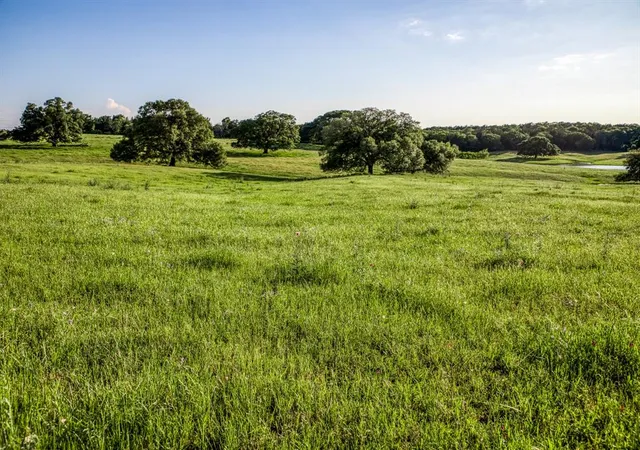 Photo 4 of Land for sale at 7000 W Farm To Market Road 332 Road, Brenham, TX 77833 | MLS# 68400333 | Listing updated on 2026-02-08