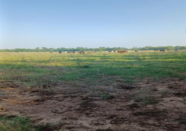 Homes for sale in Wichita Falls, TX | 1301 Harding St, Wichita Falls, TX 76301 | MLS# 5087710