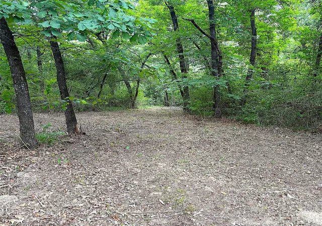 Photo 2 of Land for sale at 12789 E County Rd 112, Centerville, TX 75833 | MLS# 76703957 | Listing updated on 2026-05-01