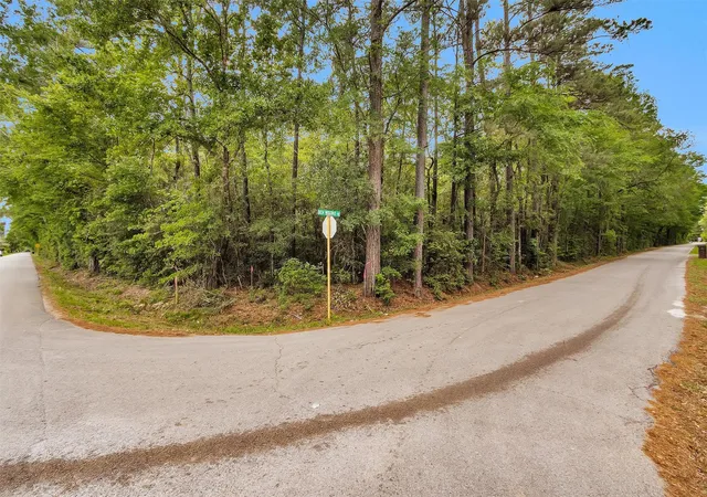 Photo 3 of Land for sale at 15711 Tree Monkey Rd, Conroe, TX 77303 | MLS# 70383074 | Listing updated on 2026-04-10