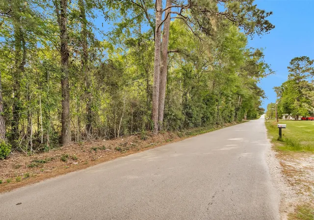 Photo 3 of Land for sale at 15711 Tree Monkey Rd, Conroe, TX 77303 | MLS# 70383074 | Listing updated on 2026-04-10