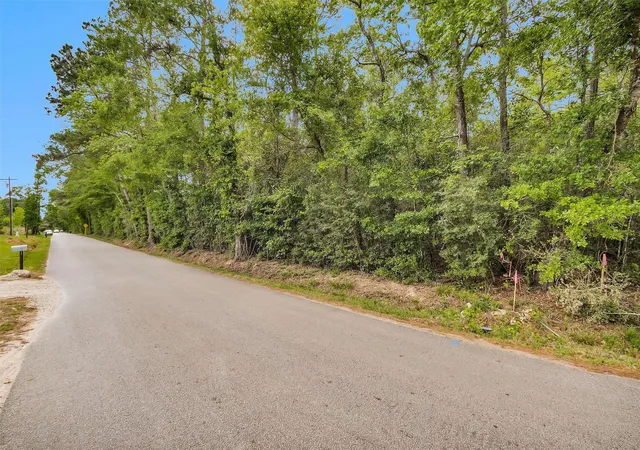 Photo 4 of Land for sale at 15711 Tree Monkey Rd, Conroe, TX 77303 | MLS# 70383074 | Listing updated on 2026-04-10