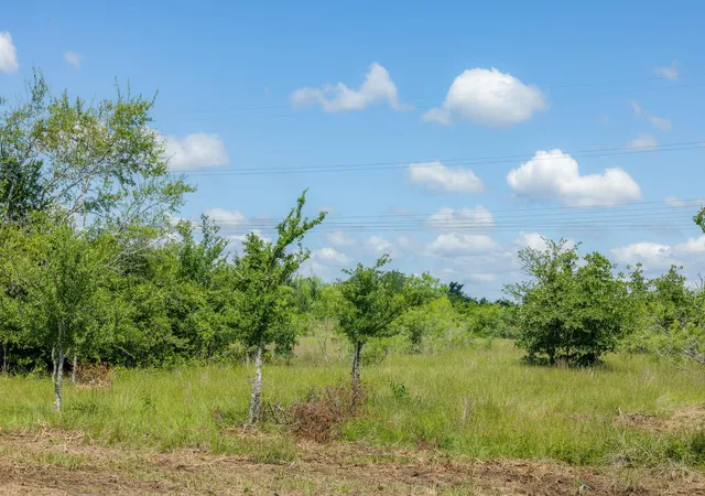 Homes for sale in Bedias, TX | 6549 Atakapan Trail, Bedias, TX 77831 | MLS# 34396448