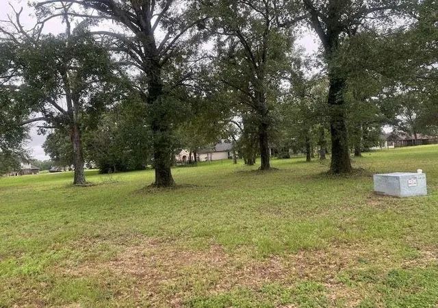 Photo 3 of Land for sale at Lot 63 Birdie Dr, Hempstead, TX 77445 | MLS# 5454582 | Listing updated on 2026-06-19
