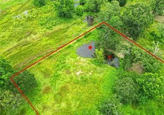 1st image of 254 County Road Cr 312, Cleveland, TX 77327 | MLS# 46799111