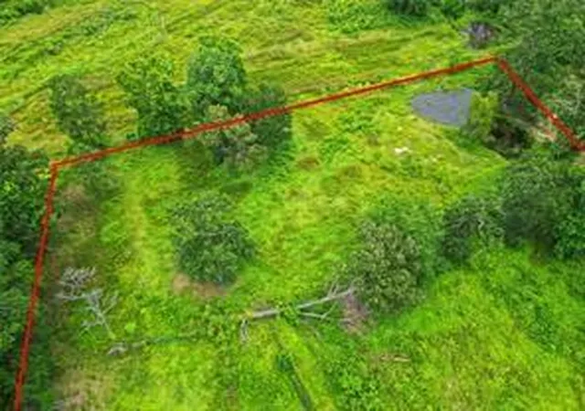 2nd image of 254 County Road Cr 312, Cleveland, TX 77327 | MLS# 46799111