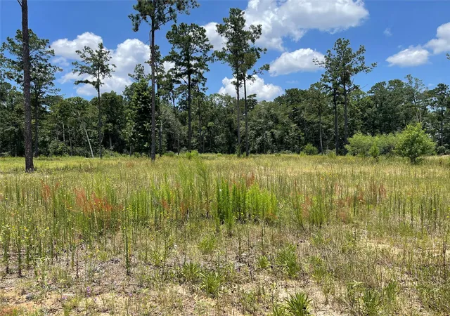 Photo 3 of Land for sale at 20035 Kincaid Dr, Conroe, TX 77306 | MLS# 34749727 | Listing updated on 2026-08-24